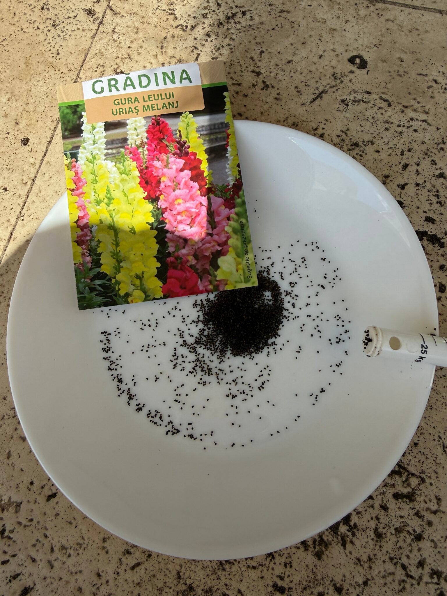 Tiny snapdragon seeds next to the seed packet