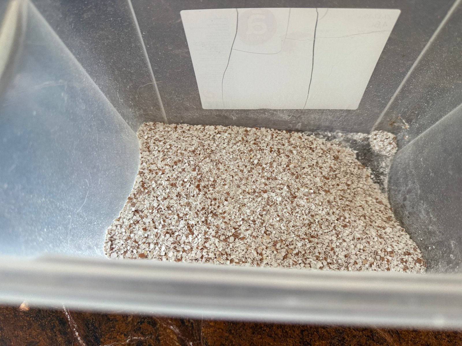 Coji de ouă mărunțite în granule mici, pregătite pentru compost în grădina din Bran