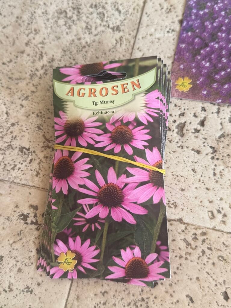 Plic de semințe Echinacea Agrosem folosit cu succes în grădina Colț de Plai din Bran, județul Brașov