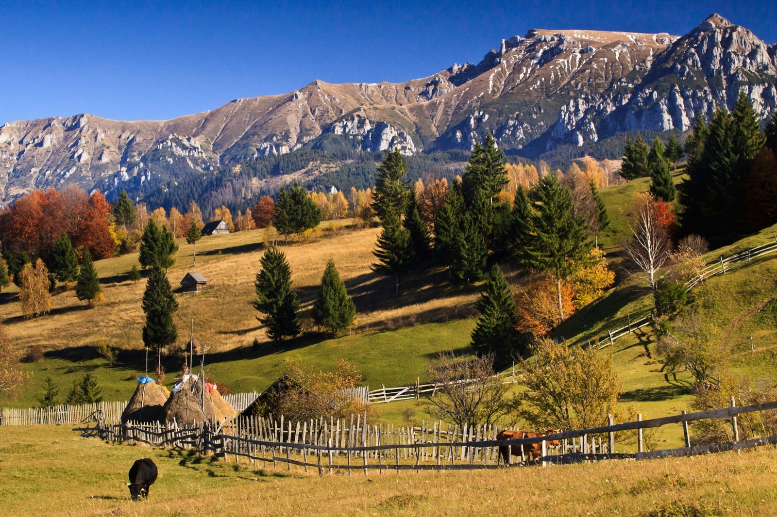 Peisaj montan din zona Branului, cu pante, pășuni și Munții Bucegi